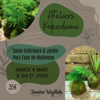 Ateliers Kokedama Mulhouse